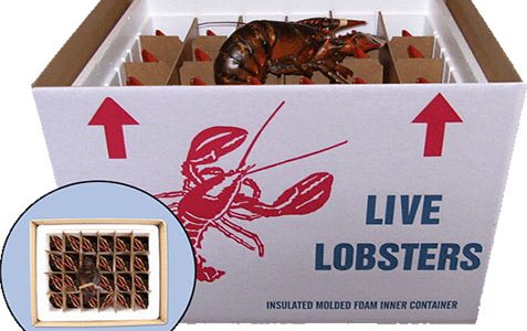 Wholesale Lobsters East Coast Canada Overnight Shipping [ 300 x 477 Pixel ]
