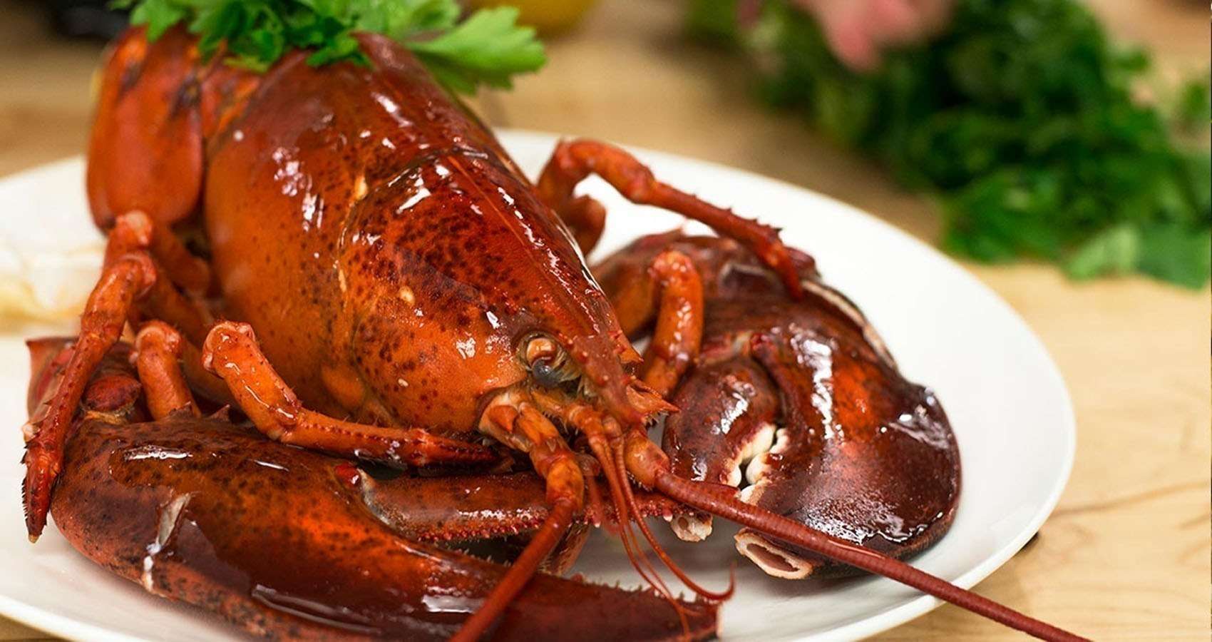 Wholesale Lobsters East Coast Canada Overnight Shipping.