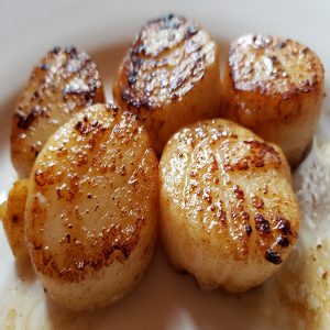 Scallops