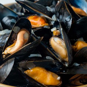 Mussels